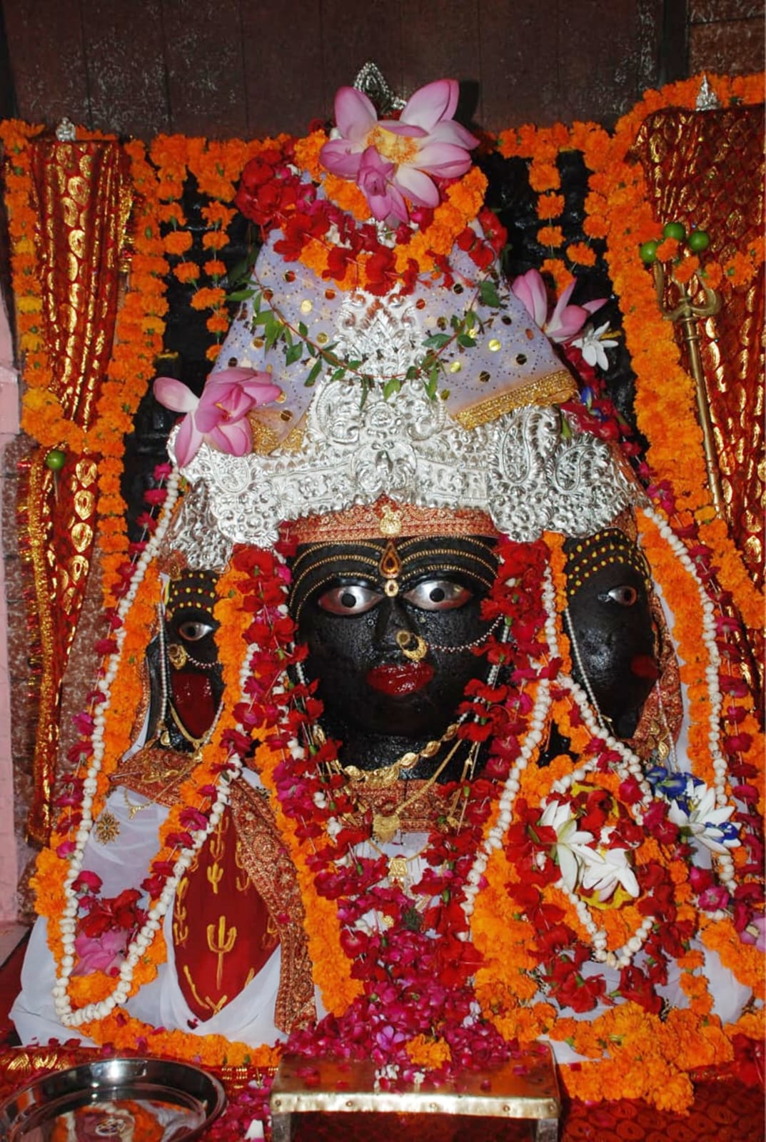 naidunia_image